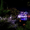 熱海城の夜桜HDR