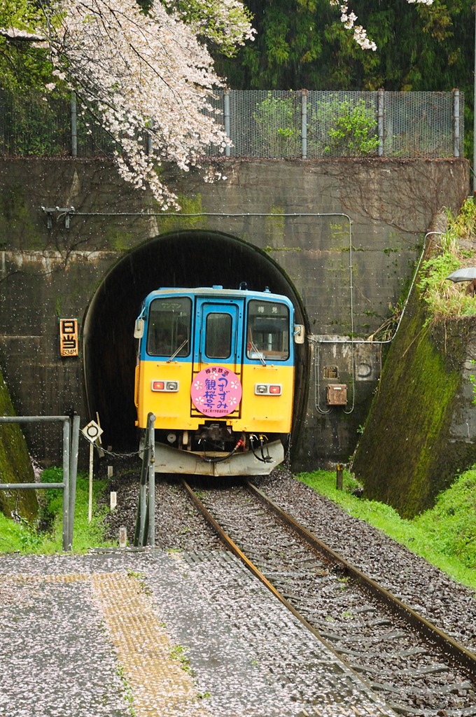 樽見鉄道2両目