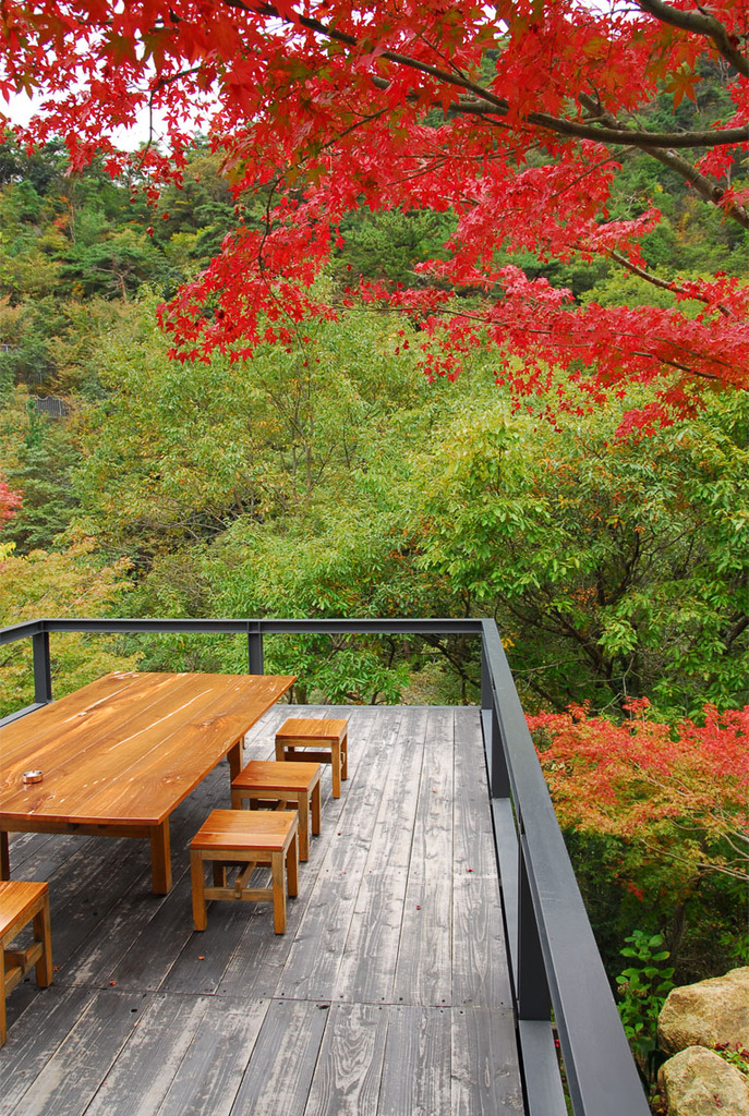 テラスから見る紅葉