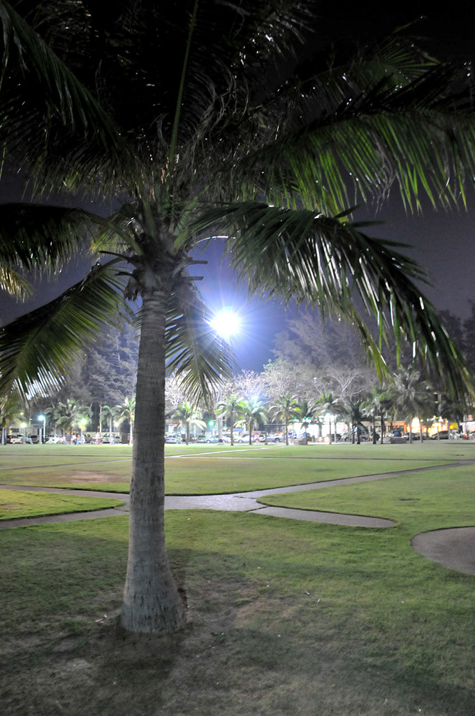夜の公園