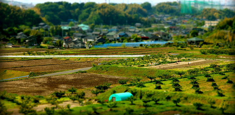 風景