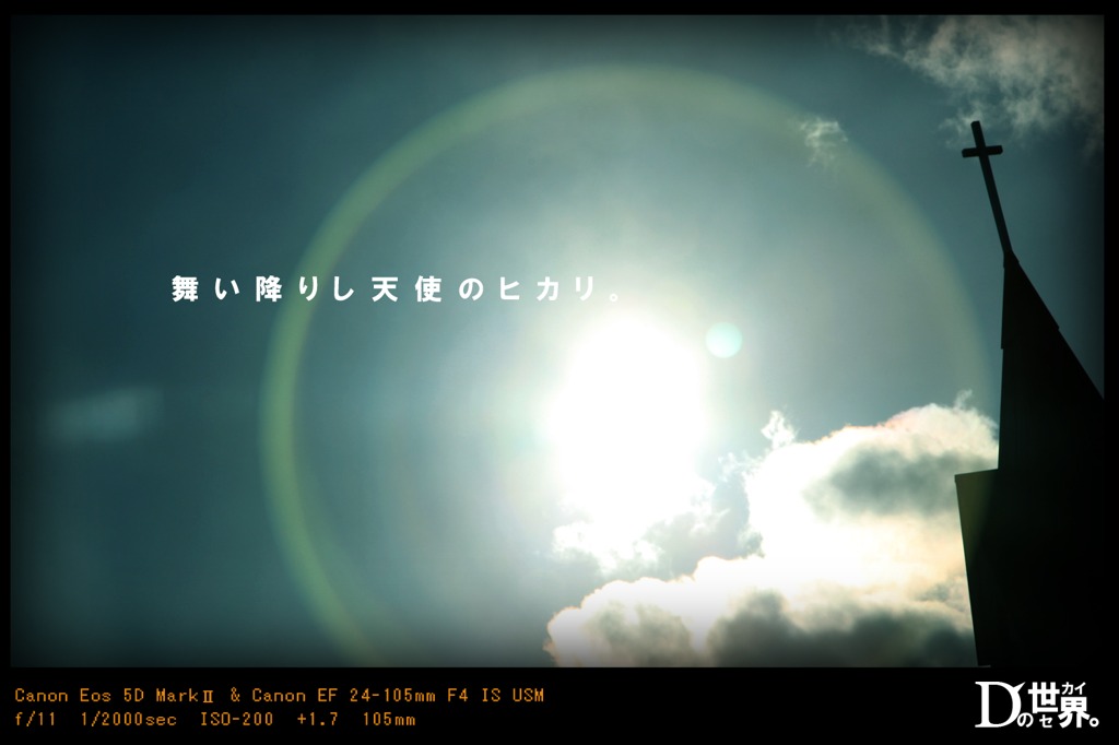 舞い降りし天使のヒカリ。