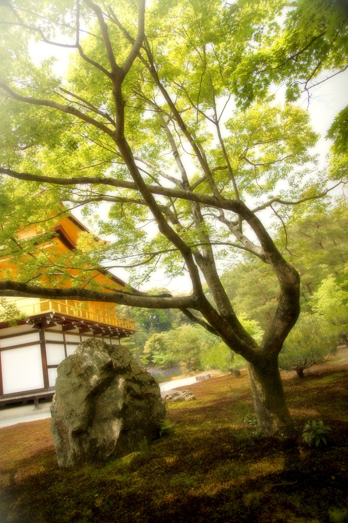金閣寺と石と木