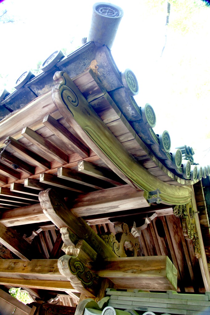 エグイ屋根