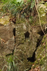 サファリパーク岩