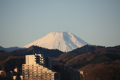 朝焼けの富士山