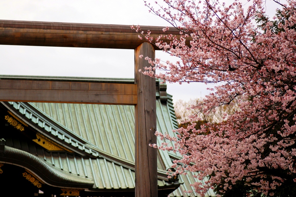 花の都