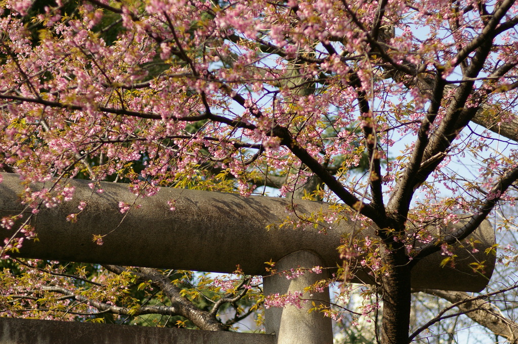 上野・五條天神社