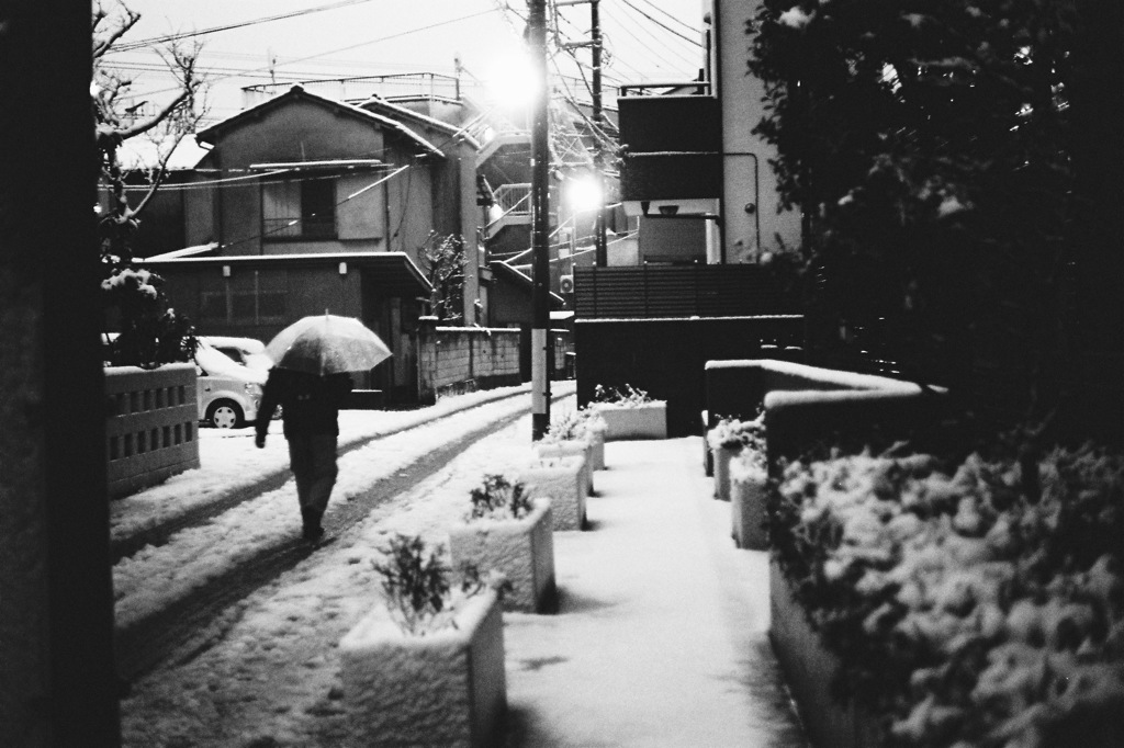 VITESSA試写 #4 -東京積雪-