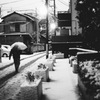 VITESSA試写 #4 -東京積雪-
