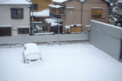 都内の積雪