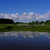 初夏の雲