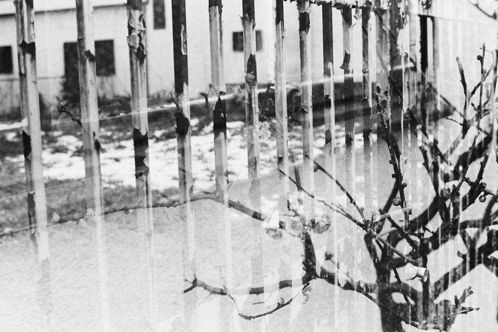 二重露光