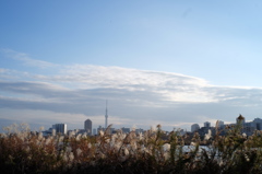 DSCF0155