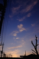 夜明け