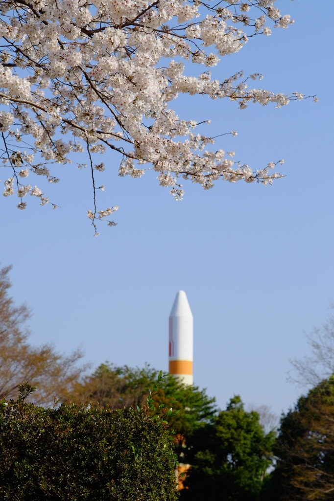 つくばの春 #1