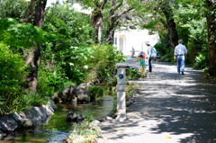 東綾瀬公園 #1