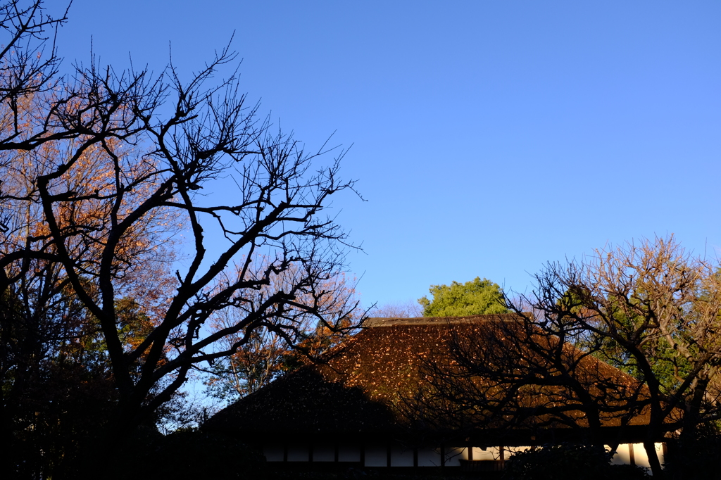 さくら民家園