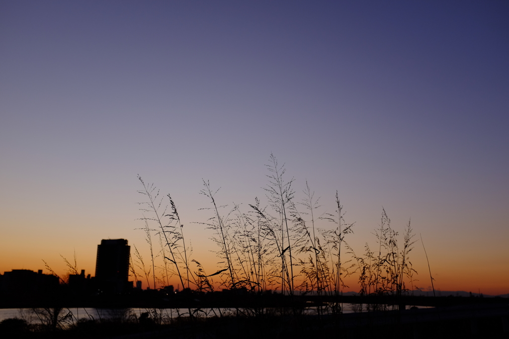 冬の夕暮れ #1
