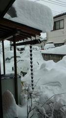 実家の状況