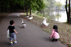 栃木にて（秋の公園散歩） #2