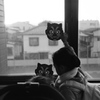 節分