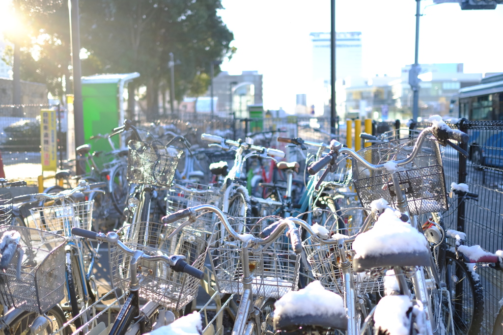 駅前の自転車置き場にて