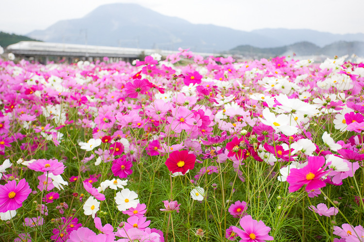 2010.10.22 岐阜羽島ー米原