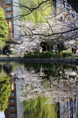 シンメトリーな春