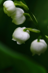 こちらを向いて