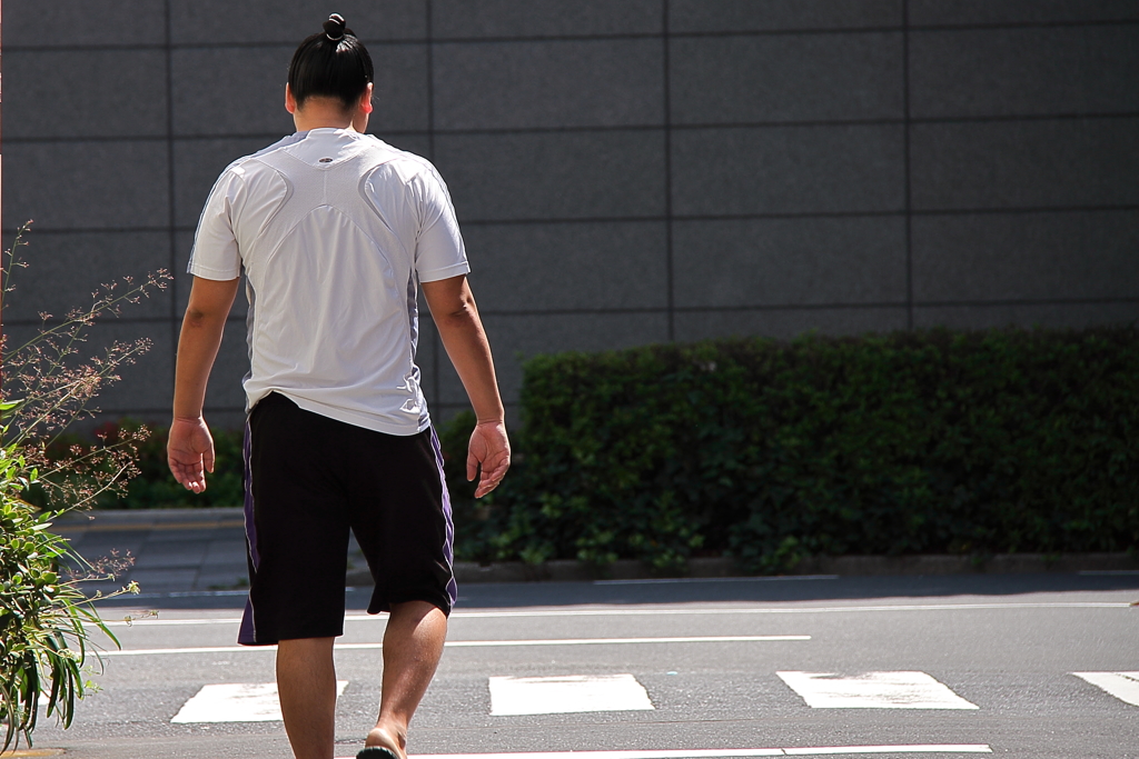 力士のいる風景４