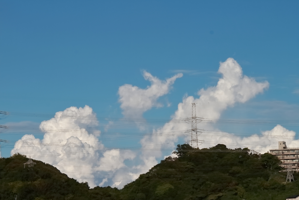 空に跳ねる