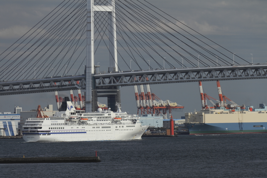 横浜ベイブリッジを通過するパシフィックビーナス号