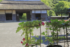 炎天の古民家公園