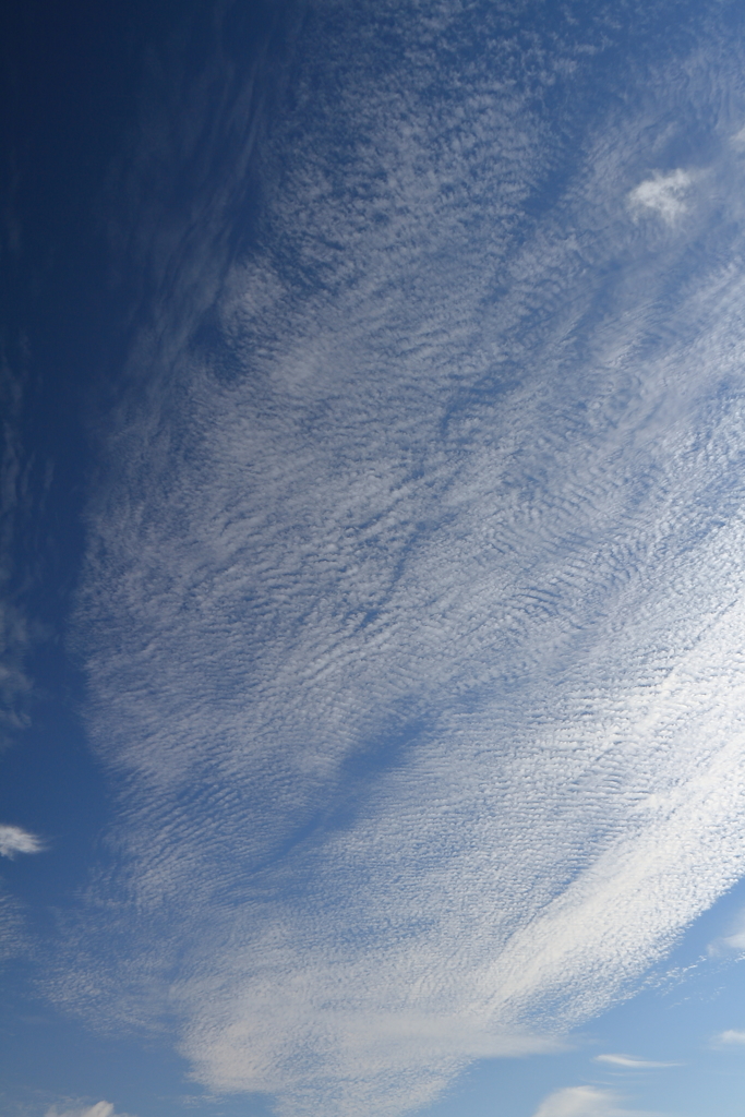 羊群れる秋空１