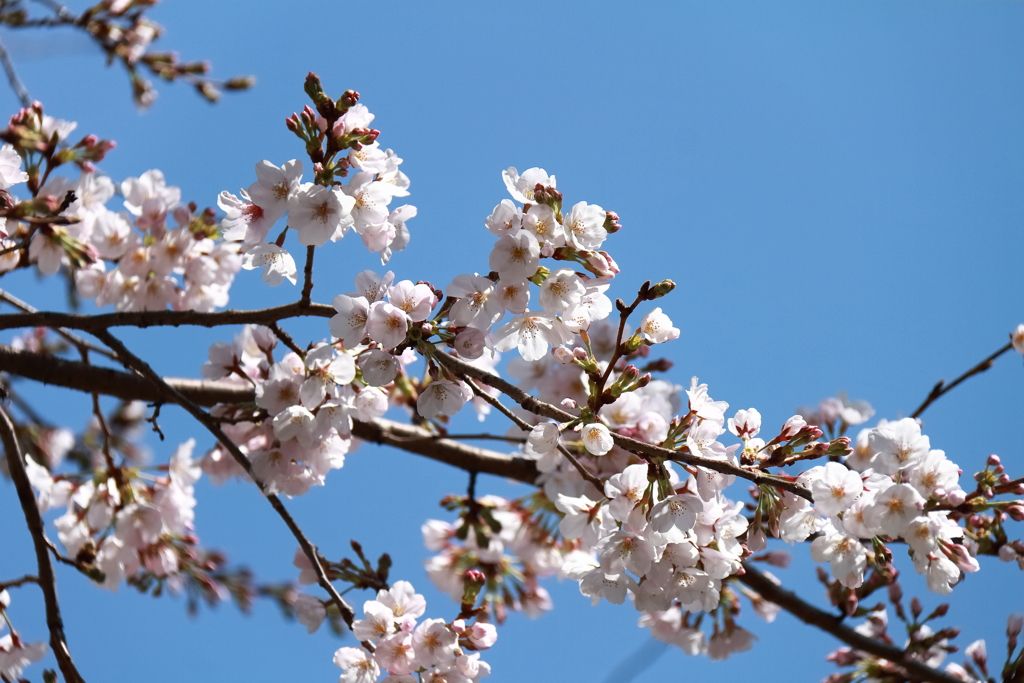 待ち焦がれて２