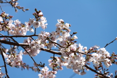 待ち焦がれて２