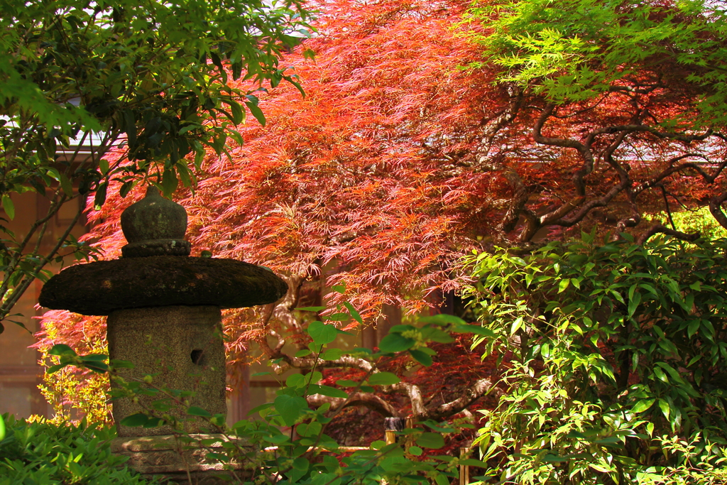 まるで秋の装い