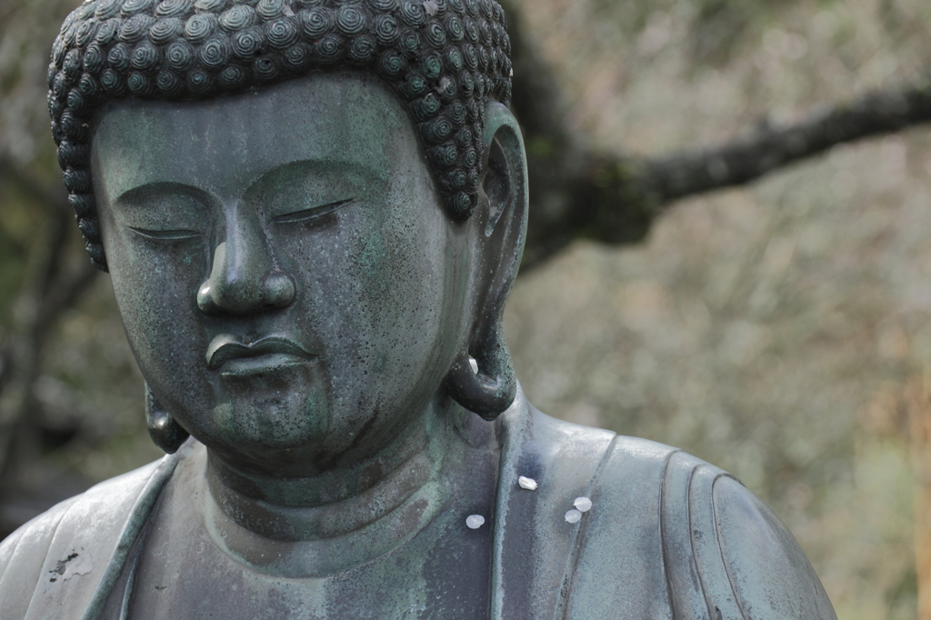 憂春 散花
