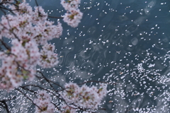 みなもを染める１