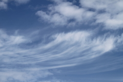 秋雲１