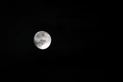 名月前夜２