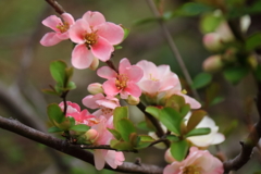 元気を取り戻して2