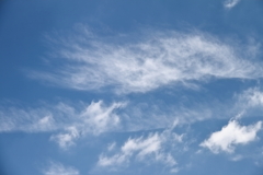 梅雨空過ぎた朝