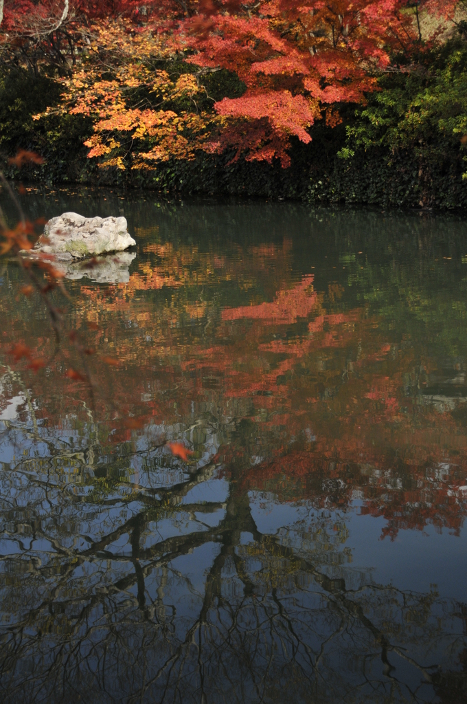 映る秋