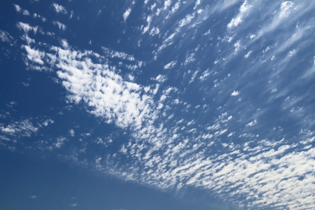 夏雲の横に