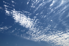夏雲の横に