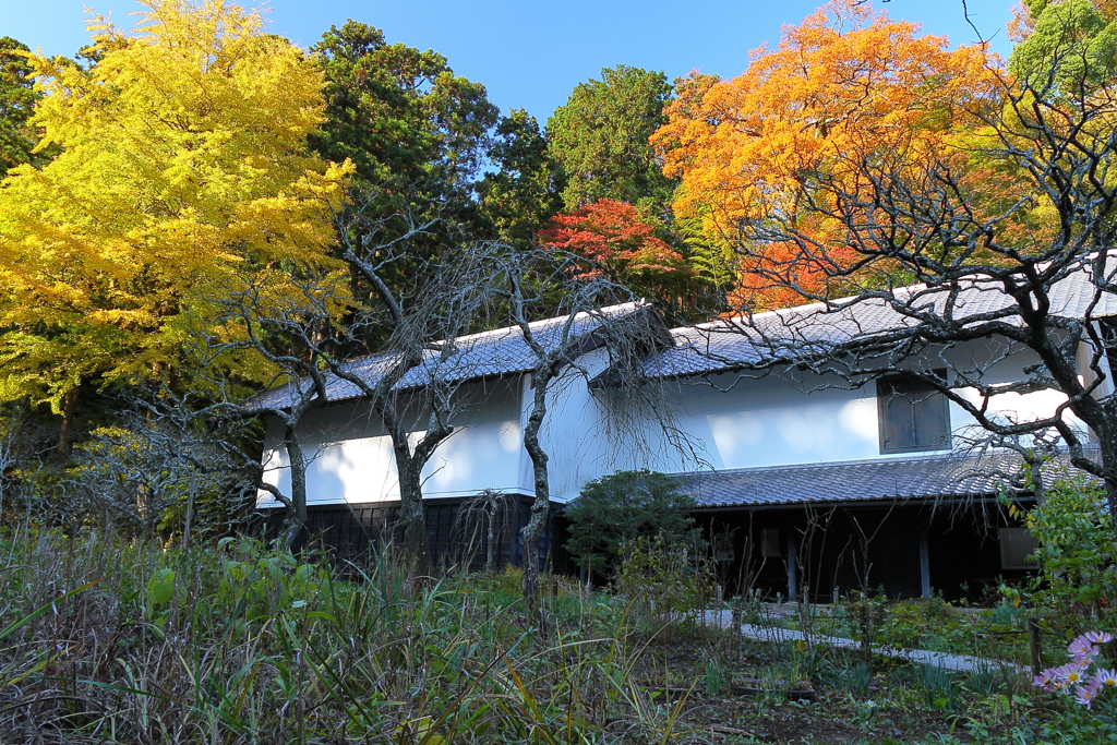 秋景の古都