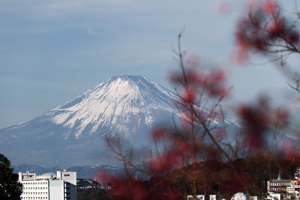 富士山眺望