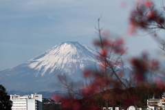 富士山眺望